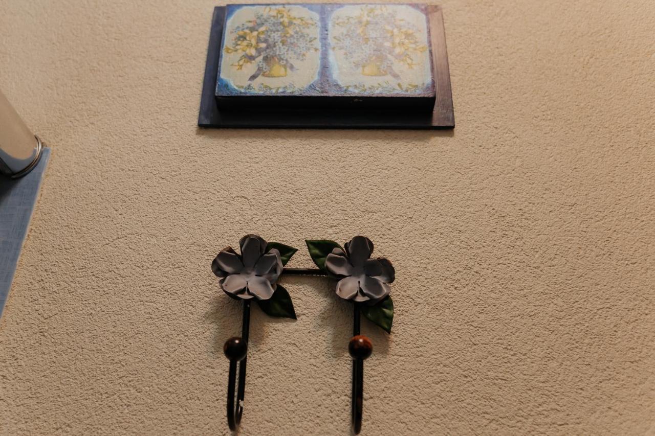 Hotel Pousada Chale Das Flores Sertaozinho Ngoại thất bức ảnh